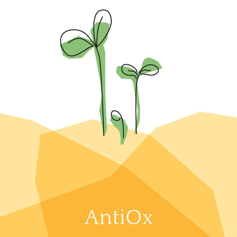 AntiOx